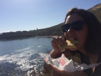 Petit Tacos au bord du Pacific