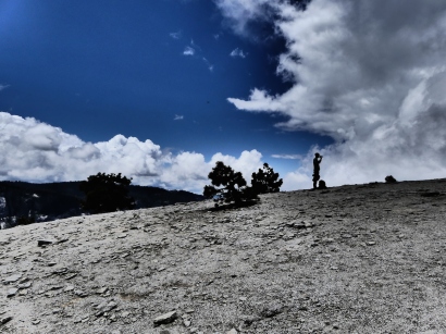 Momo au sommet de El Capitan
